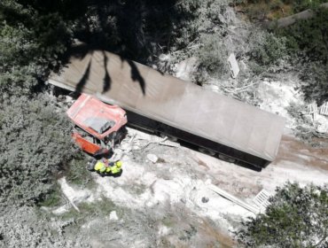 Camión desbarrancó en la Ruta Las Palmas en la parte alta de Viña del Mar