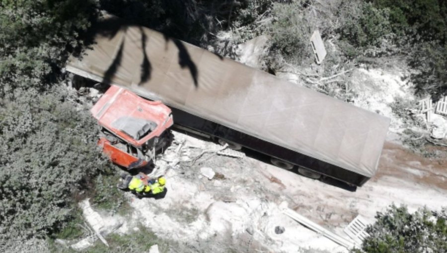 Camión desbarrancó en la Ruta Las Palmas en la parte alta de Viña del Mar