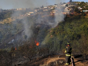 Decretaron Alerta Roja en Melipilla por incendio forestal