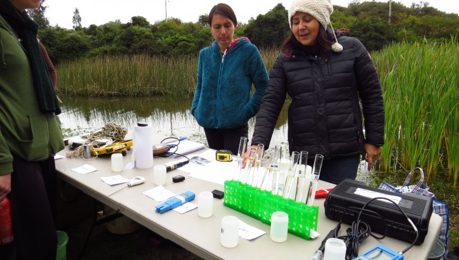 Lapidario informe: Humedal El Criquet de Laguna Verde en estado crítico según estudio de la Universidad de Playa Ancha