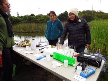 Lapidario informe: Humedal El Criquet de Laguna Verde en estado crítico según estudio de la Universidad de Playa Ancha