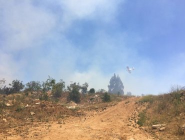 Quilpué: Dos focos de incendios sin control se registran en el sector El Yugo