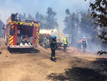 Incendio en Alto el Yugo en Quilpué: Al menos 30 hectáreas ya son consumidas por las llamas