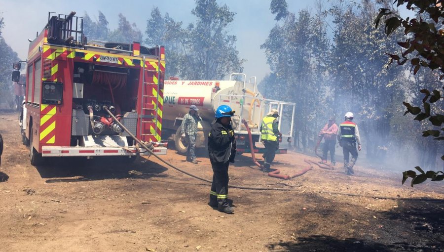 Incendio en Alto el Yugo en Quilpué: Al menos 30 hectáreas ya son consumidas por las llamas