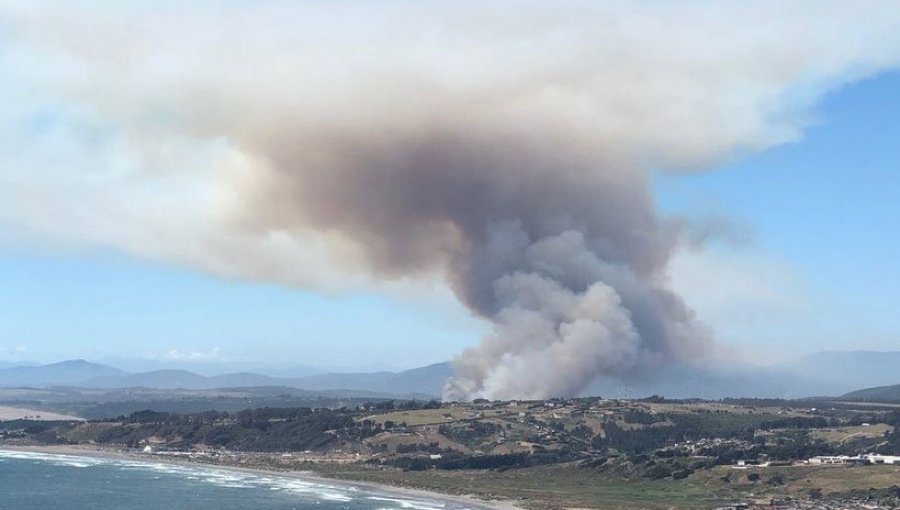 Incendio Forestal en Mantagua consume al menos 10 hectáreas: Alerta Roja en Quintero