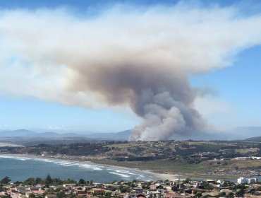 Incendio Forestal en Mantagua consume al menos 10 hectáreas: Alerta Roja en Quintero