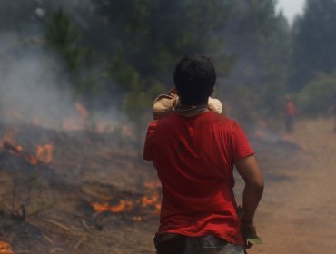 Conaf reporta que este miércoles se combatieron 25 incendios forestales a nivel nacional