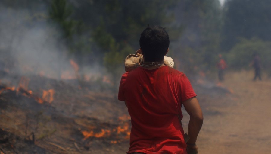 Conaf reporta que este miércoles se combatieron 25 incendios forestales a nivel nacional