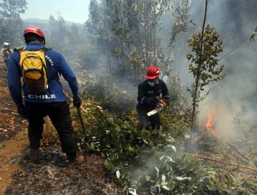Quilpué sigue en Alerta Roja por incendios forestales: Más de 65 hectáreas consumidas en Colliguay