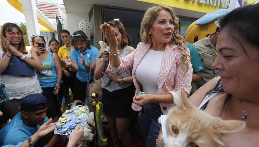 Cathy Barriga inauguró primera clínica veterinaria con procedimientos gratuitos en Chile