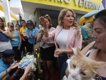 Cathy Barriga inauguró primera clínica veterinaria con procedimientos gratuitos en Chile