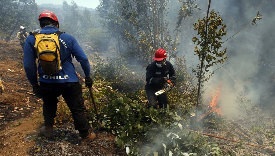 Quilpué sigue en Alerta Roja por incendios forestales: Más de 65 hectáreas consumidas en Colliguay