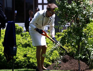 Princesa Ana llegó a nuestro país, donde asistió a diversas actividades