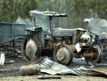 Ataque incendiario a 4 camiones en predio forestal de Collipulli