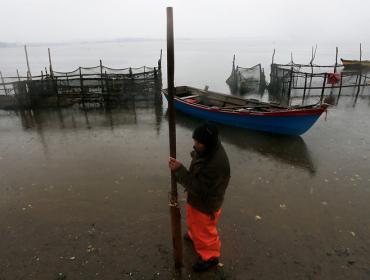 Corte traslada a Valparaíso el caso de vertimiento de salmones en Chiloé