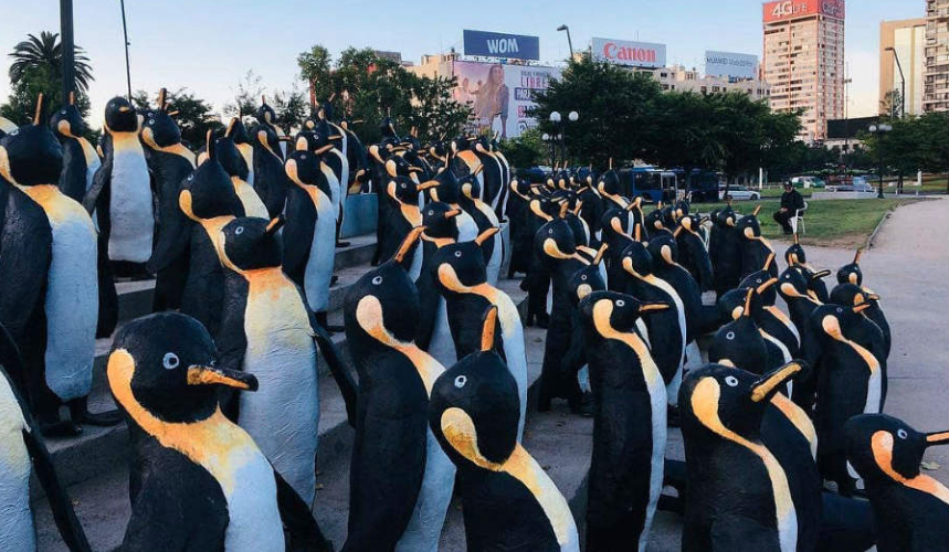 Mil pingüinos buscan generar conciencia ciudadana sobre el cambio climático