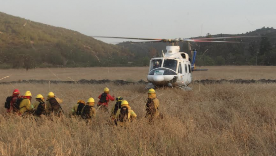 Conaf reforzará vigilancia para prevenir incendios forestales en Lo Vásquez