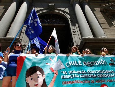 Mesa Acción por el Aborto y fallo del TC: "Beneficia a los privados y a las clínicas"