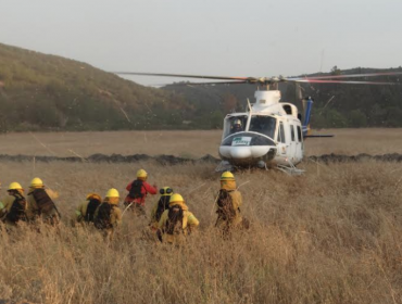 Conaf reforzará vigilancia para prevenir incendios forestales en Lo Vásquez