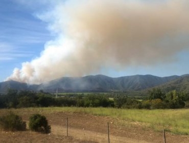 Alerta Roja en Casablanca por descontrolado incendio que arrasa al menos 10 hectáreas de pastizales