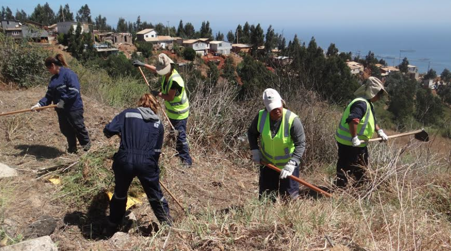 Conaf retirará 10 toneladas de maleza y pastizales en Valparaíso