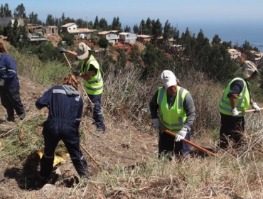 Conaf retirará 10 toneladas de maleza y pastizales en Valparaíso