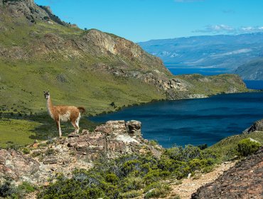 Diario Oficial publicó la creación del Parque Nacional Patagonia