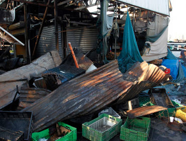 Administrador de la Vega Central avalúa en $300 millones los daños por incendio