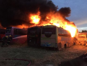 Incendio en Chillán: Al menos 15 buses de la empresa "Línea Azul" fueron consumidos por las llamas