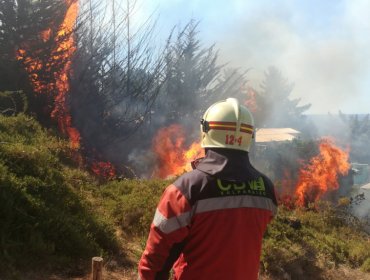 Alerta Roja en Valparaíso por incendio forestal que ha consumido dos casas