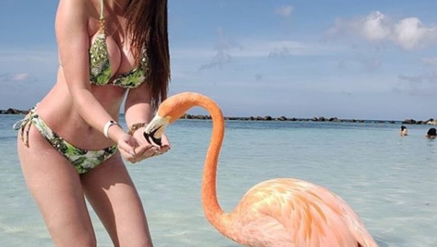 De Infarto: Galería de imágenes de Aynara Eder con full "bikinazos"