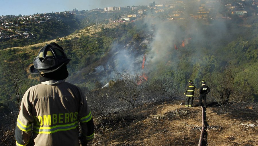 Incendio en Melipilla lleva consumidas 290 hectáreas