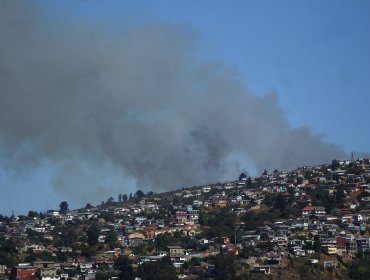 Alerta Roja en Valparaíso: Incendio forestal con "fuego de rápido avance" en camino La Pólvora