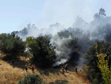 Declaran nueva alerta roja en Valparaíso por incendio forestal en Laguna Verde