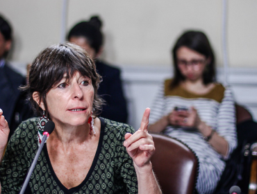 Cristina Girardi presenta recurso de protección a favor de apoderados del INBA