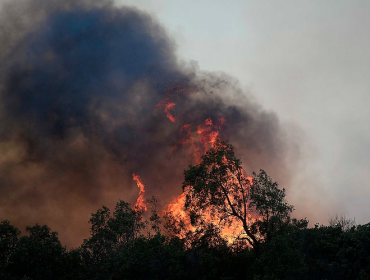 Encargado de Emergencias del municipio denunció "intencionalidad" en incendios de Valparaíso