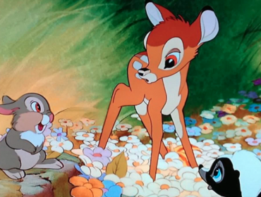 Cazador ilegal deberá ver "Bambi" una vez al mes durante un año