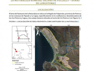 Campo dunar de Longotoma y humedal del Pullally podrían convertirse en Santuario de la Naturaleza