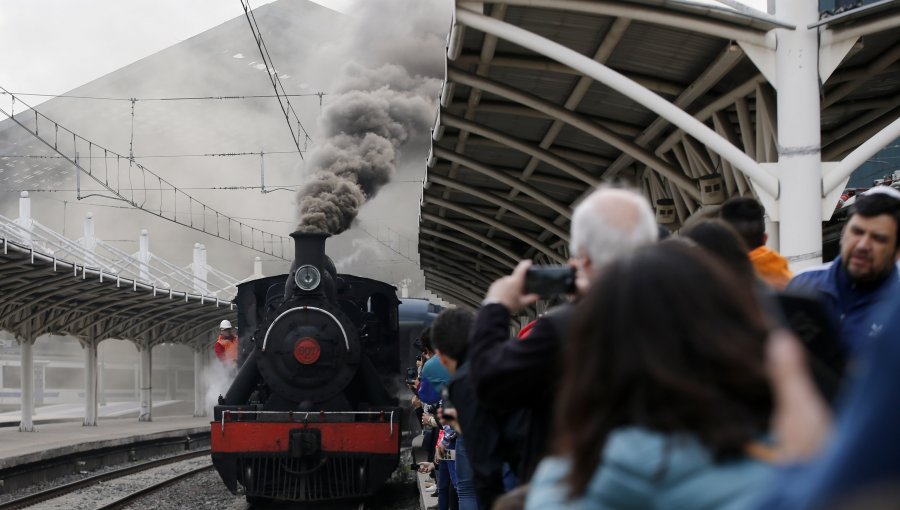 Una persona murió al ser arrollada por tren "El Valdiviano"