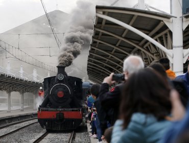 Una persona murió al ser arrollada por tren "El Valdiviano"