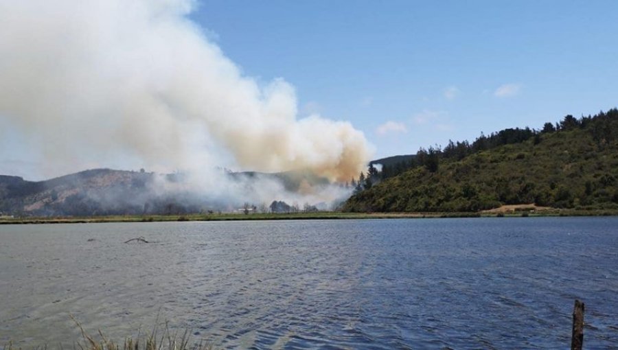 Incendio forestal ha consumido más de 20 hectáreas en Pichilemu: continúa Alerta Roja