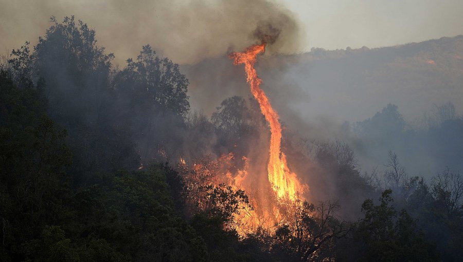 Alerta Roja en Valparaíso por incendio forestal en sector de Placilla