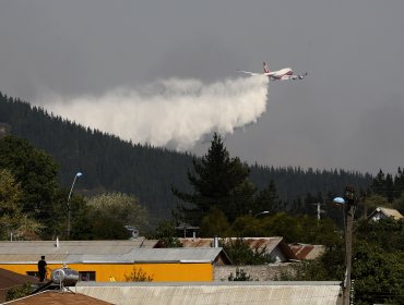 Onemi prevé verano más seco y la aparición de manto vegetal altamente inflamable