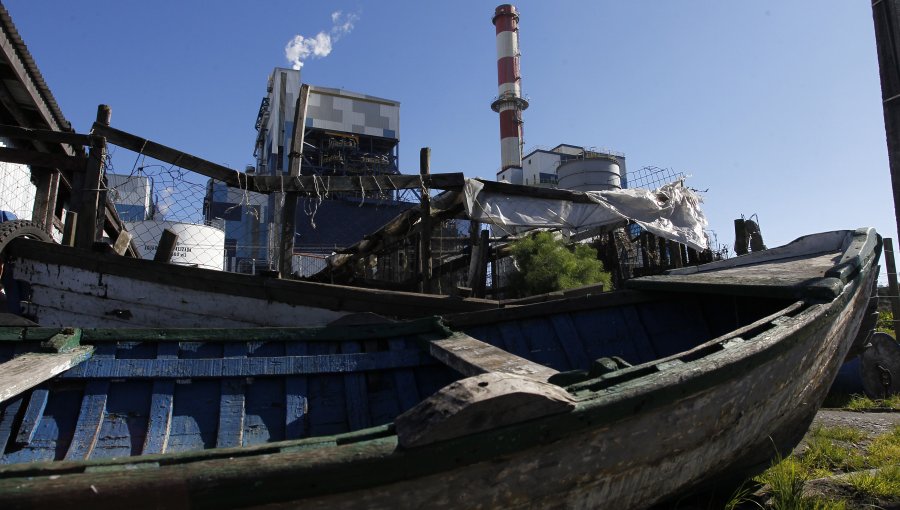 Atribuyen responsabilidad a Enel y Bocamina por daño ambiental en Lota y Coronel