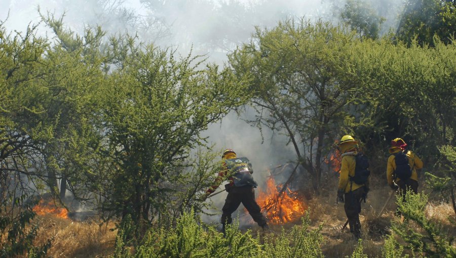 Alerta Roja en Lampa por incendio forestal: 200 personas evacuaron camping