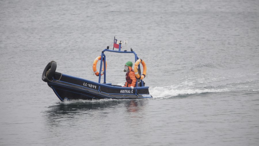 Sernapesca denunció a Ventisqueros ante la SMA por fuga de salmones en Quemchi