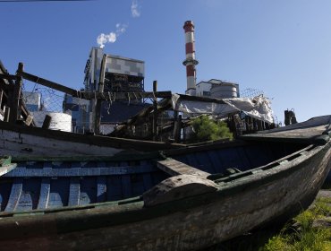 Atribuyen responsabilidad a Enel y Bocamina por daño ambiental en Lota y Coronel