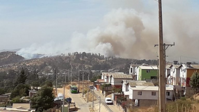 Alerta Roja en Villa Alemana por incendio forestal que ha consumido 10 hectáreas