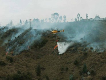 Incendio en limite de Villa Alemana con Limache consume 35 hectáreas y deja 2 casas destruidas