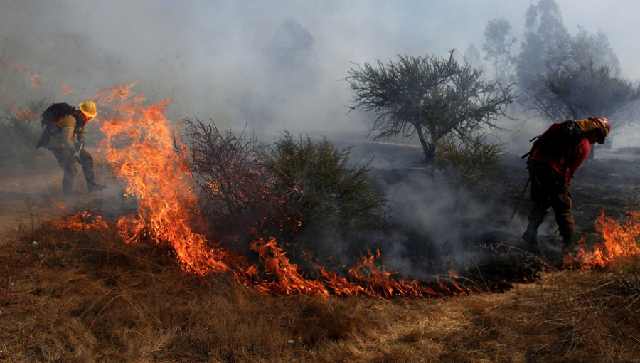 Conaf confirmó que hay 61 incendios forestales y cinco Alertas Roja en el país